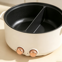 Dual‑control Divided Electric Hot Pot