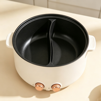 Dual‑control Divided Electric Hot Pot