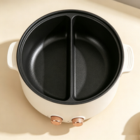 Dual‑control Divided Electric Hot Pot