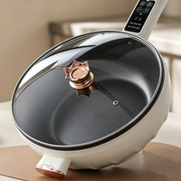 Digital‑Display Multi‑Function Electric Wok
