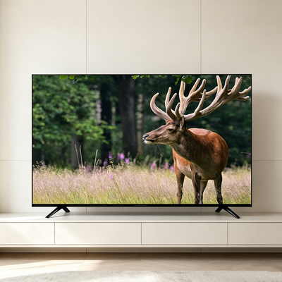 Household Smart Flat‑screen TV